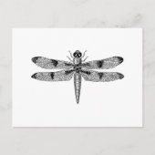 Dragonfly Postkarte (Vorderseite)