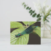 Dragonfly Postkarte (Stehend Vorderseite)