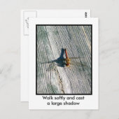 Dragonfly Postkarte (Vorne/Hinten)