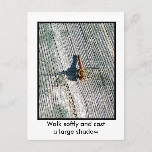 Dragonfly Postkarte (Vorderseite)