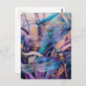Dragonfly Postkarte (Vorne/Hinten)