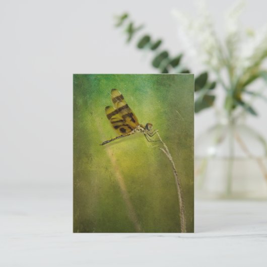 Dragonfly Postkarte (Stehend Vorderseite)
