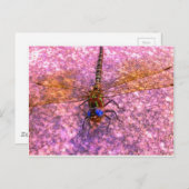 Dragonfly Postkarte (Vorne/Hinten)