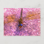 Dragonfly Postkarte (Vorderseite)