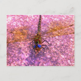Dragonfly Postkarte