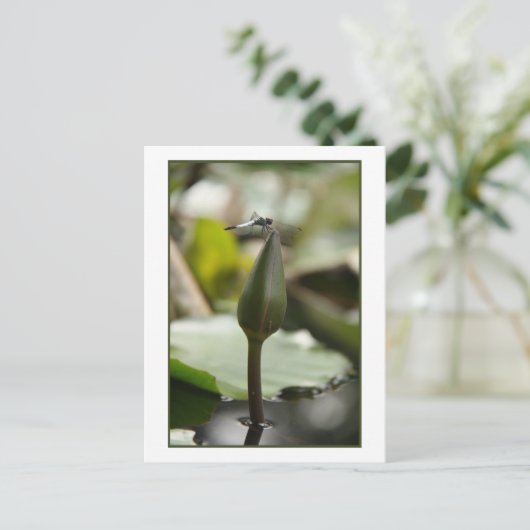 Dragonfly Postkarte (Stehend Vorderseite)