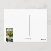 Dragonfly Postkarte (Rückseite)