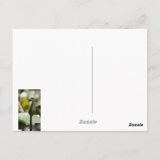 Dragonfly Postkarte (Rückseite)