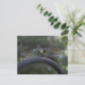 Dragonfly Postkarte (Stehend Vorderseite)