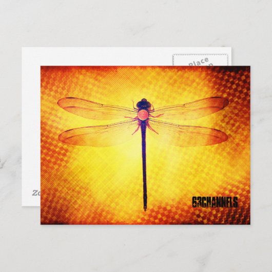 Dragonfly Postkarte (Vorne/Hinten)