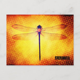 Dragonfly Postkarte