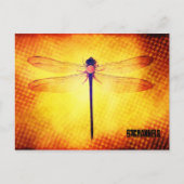 Dragonfly Postkarte (Vorderseite)
