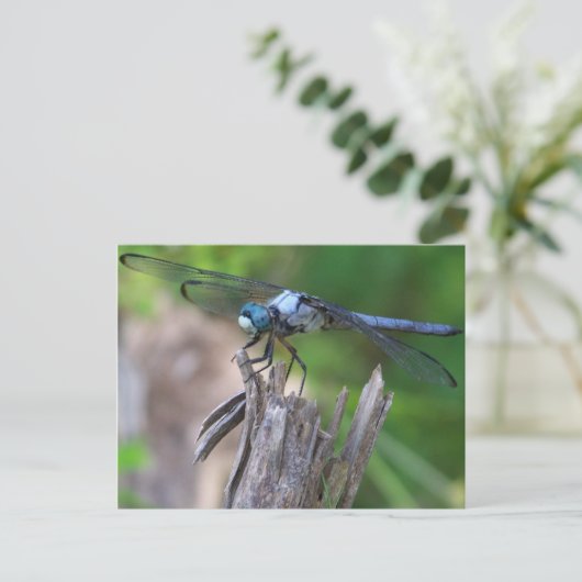 Dragonfly Postkarte (Stehend Vorderseite)
