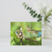 Dragonfly Postkarte (Stehend Vorderseite)