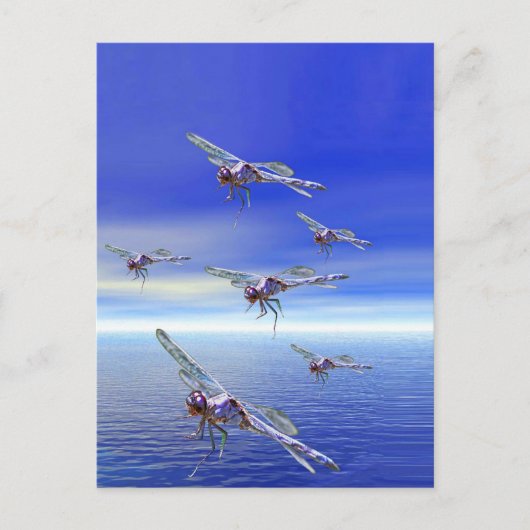 Dragonfly Postkarte (Vorderseite)