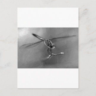 Dragonfly Postkarte