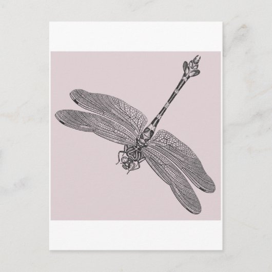 Dragonfly Postkarte (Vorderseite)