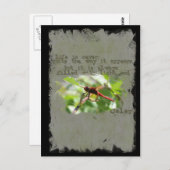 Dragonfly Postkarte (Vorne/Hinten)