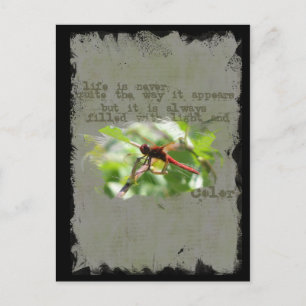 Dragonfly Postkarte