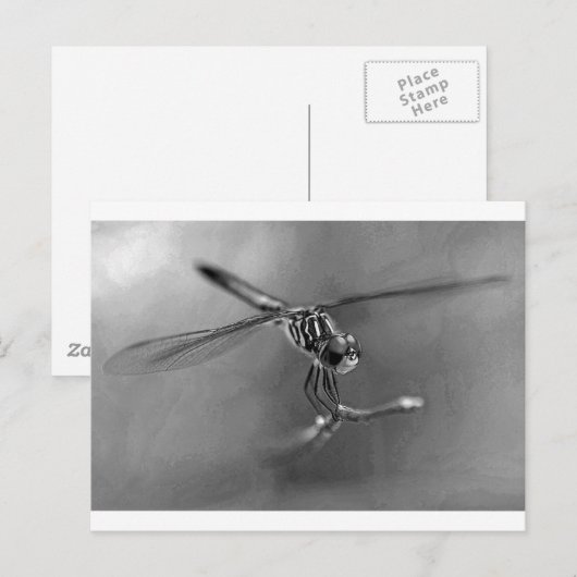Dragonfly Postkarte (Vorne/Hinten)
