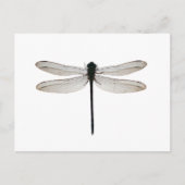 Dragonfly Postkarte (Vorderseite)
