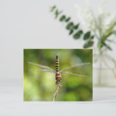 Dragonfly Postkarte (Stehend Vorderseite)