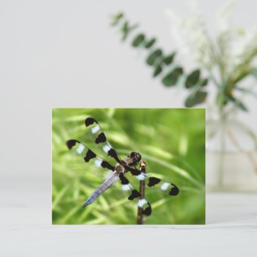 Dragonfly Postkarte (Stehend Vorderseite)