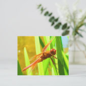 Dragonfly Postkarte (Stehend Vorderseite)
