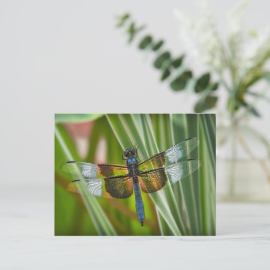 Dragonfly Postkarte (Stehend Vorderseite)