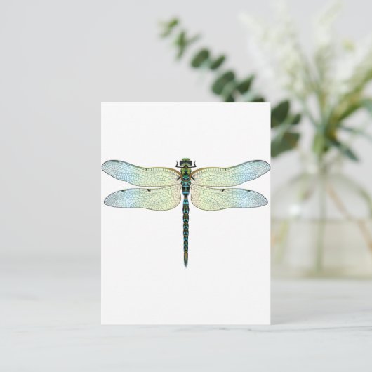 DragonFly Postkarte (Stehend Vorderseite)