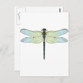 DragonFly Postkarte (Vorne/Hinten)