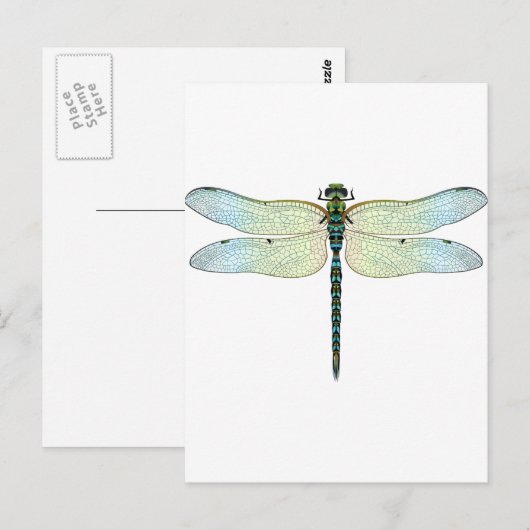 DragonFly Postkarte (Vorne/Hinten)