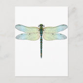 DragonFly Postkarte (Vorderseite)
