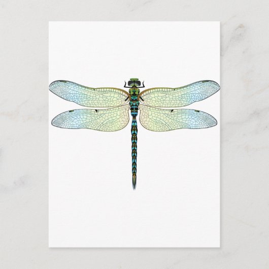 DragonFly Postkarte (Vorderseite)