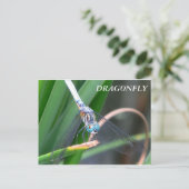 Dragonfly Postkarte (Stehend Vorderseite)