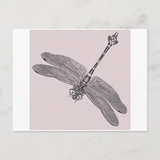 Dragonfly Postkarte (Vorderseite)