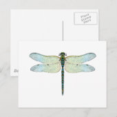 DragonFly Postkarte (Vorne/Hinten)