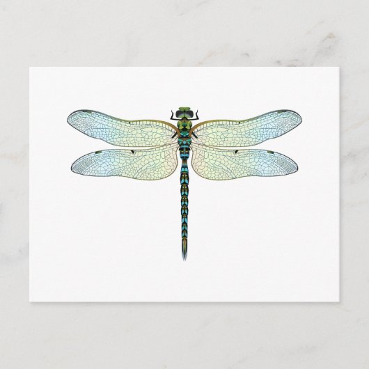 DragonFly Postkarte (Vorderseite)