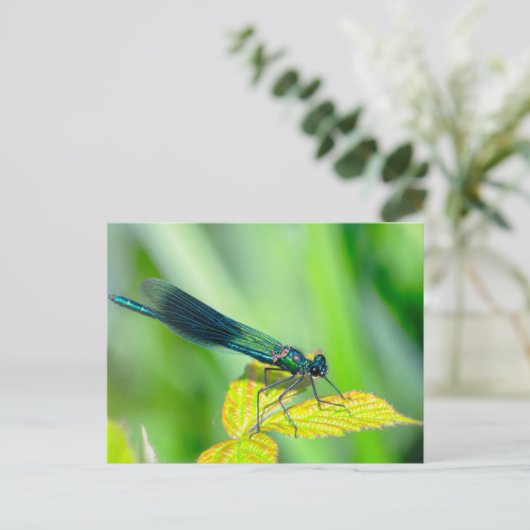 Dragonfly Postkarte (Stehend Vorderseite)