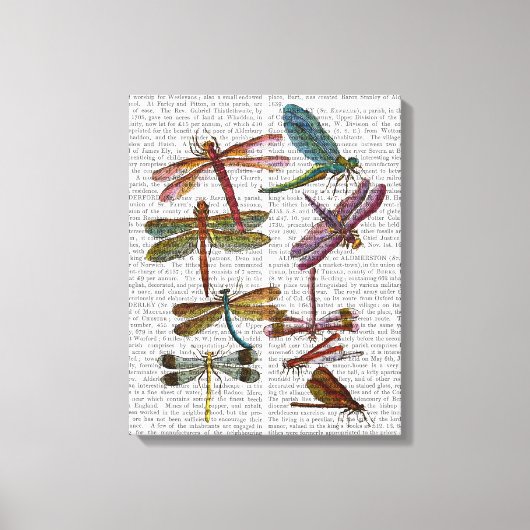 Dragonfly Print 4 Leinwanddruck (Vorderseite)