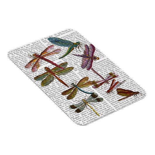 Dragonfly Print 4 Magnet (Rechte Seite)