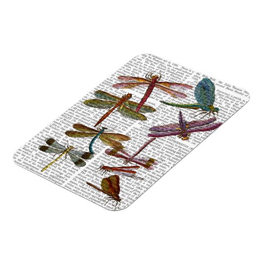 Dragonfly Print 4 Magnet (Linke Seite)