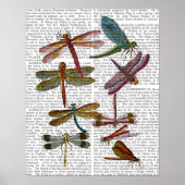 Dragonfly Print 4 Poster (Vorne)