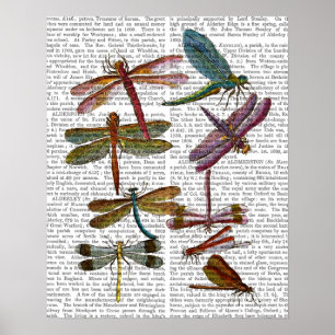 Dragonfly Print 4 Poster