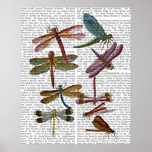 Dragonfly Print 4 Poster (Vorne)
