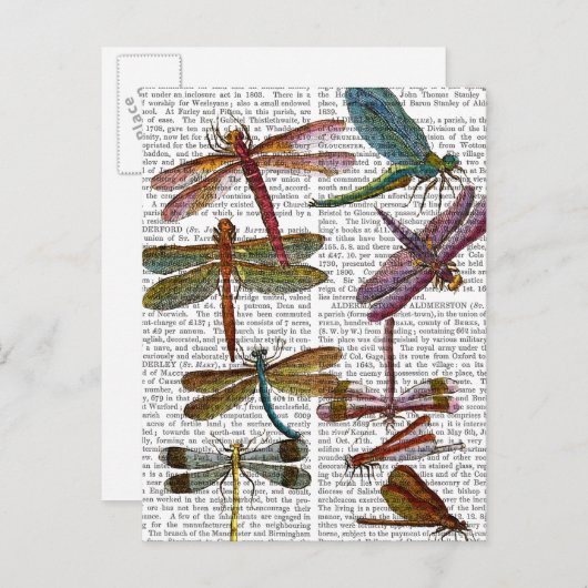 Dragonfly Print 4 Postkarte (Vorne/Hinten)
