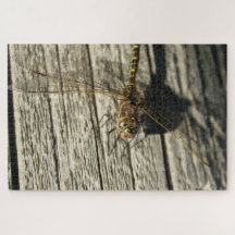 Dragonfly Puzzle