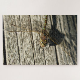 Dragonfly Puzzle