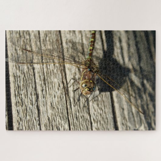 Dragonfly Puzzle (Horizontal)