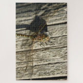 Dragonfly Puzzle (Vertikal)